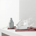 Mini Portable Clothing Steam Iron