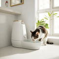 Cat Water Fountain - Automatic Pet Water Fountain